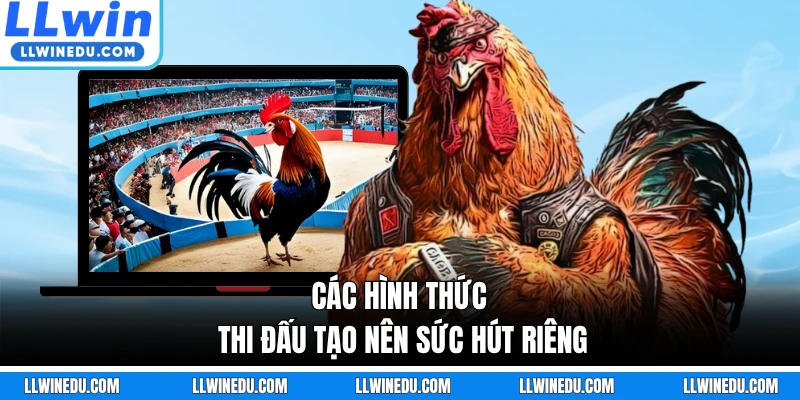 Các hình thức thi đấu tạo nên sức hút riêng