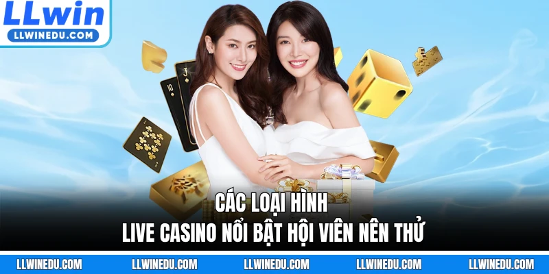 Các loại hình live casino nổi bật hội viên nên thử