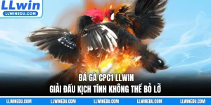 Đá Gà CPC1 LLWIN - Giải Đấu Kịch Tính Không Thể Bỏ Lỡ