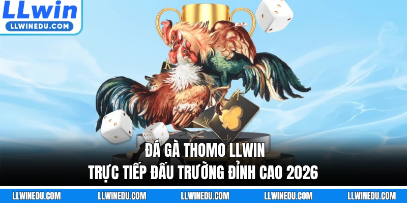 Đá Gà Thomo LLWIN - Trực Tiếp Đấu Trường Đỉnh Cao 2026