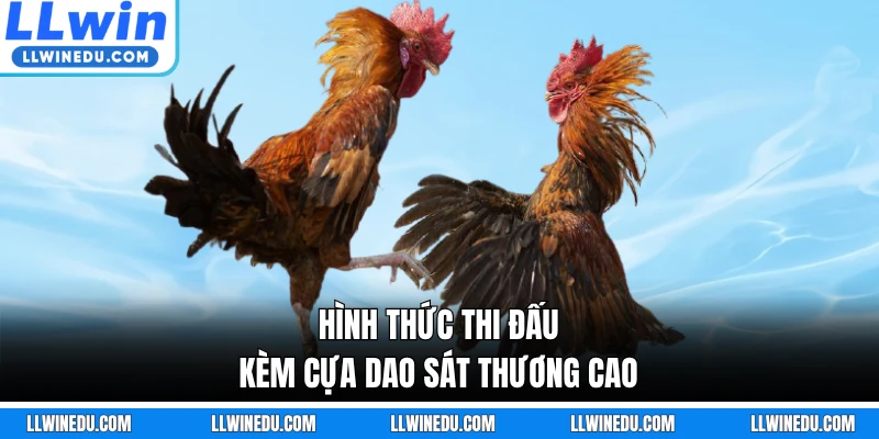 Hình thức thi đấu kèm cựa dao sát thương cao